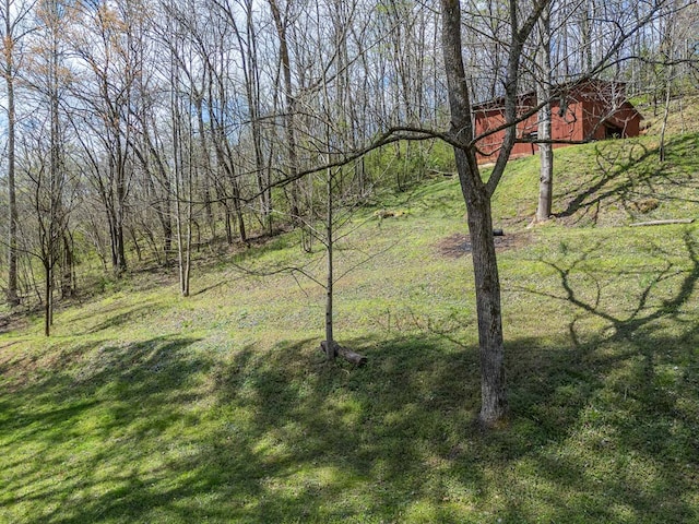 211 Gregory Hollow Rd, Robbinsville, NC 28771 - view of local wilderness