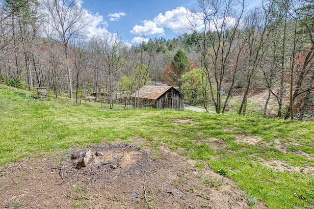 211 Gregory Hollow Rd, Robbinsville, NC 28771 - view of yard featuring an outbuilding and a view of trees