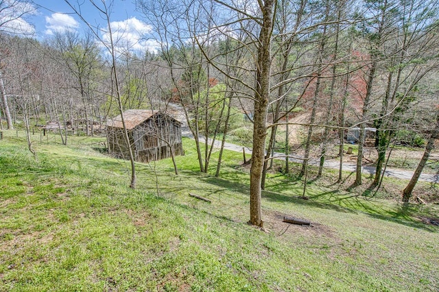 211 Gregory Hollow Rd, Robbinsville, NC 28771 - view of yard featuring a wooded view and an outdoor structure