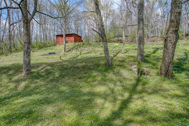211 Gregory Hollow Rd, Robbinsville, NC 28771 - view of yard featuring a barn and an outdoor structure