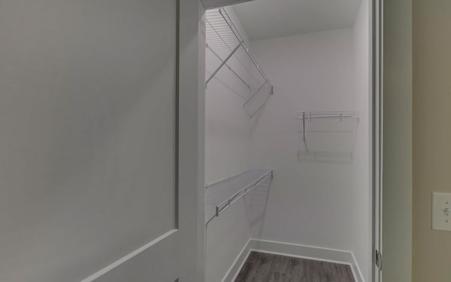 walk in closet with dark wood finished floors