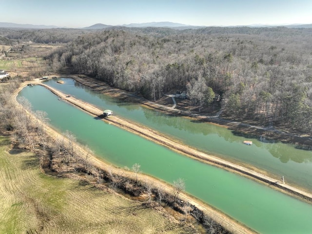 bird's eye view with a view of trees and a water and mountain view