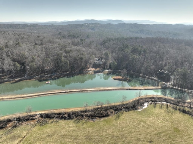 bird's eye view featuring a water and mountain view and a wooded view