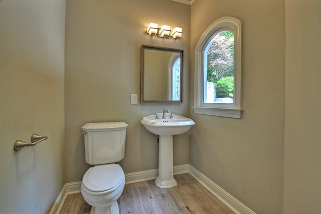 bathroom with hardwood / wood-style flooring and toilet