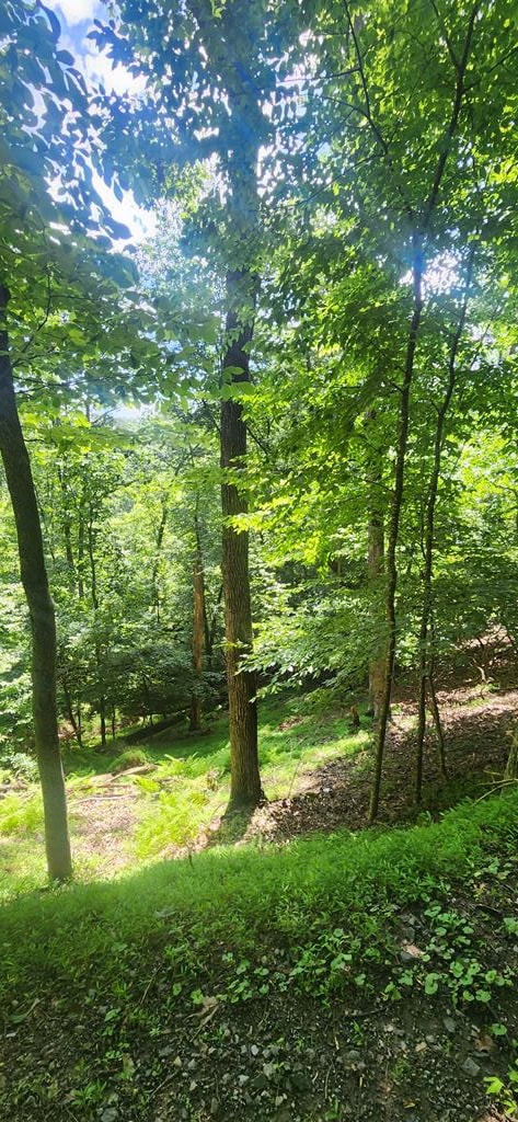 0 Mohawk Trl, Ellijay GA, 30540 land for sale