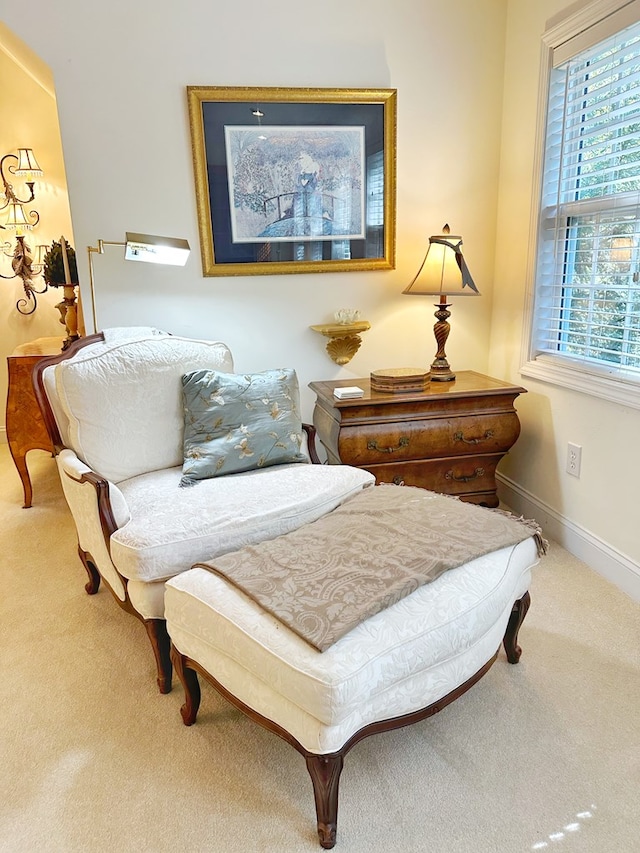 sitting room featuring carpet