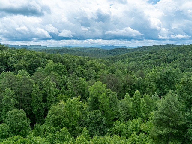 318 Page Ln, Murphy, NC 28906 - mountain view with a heavily wooded area