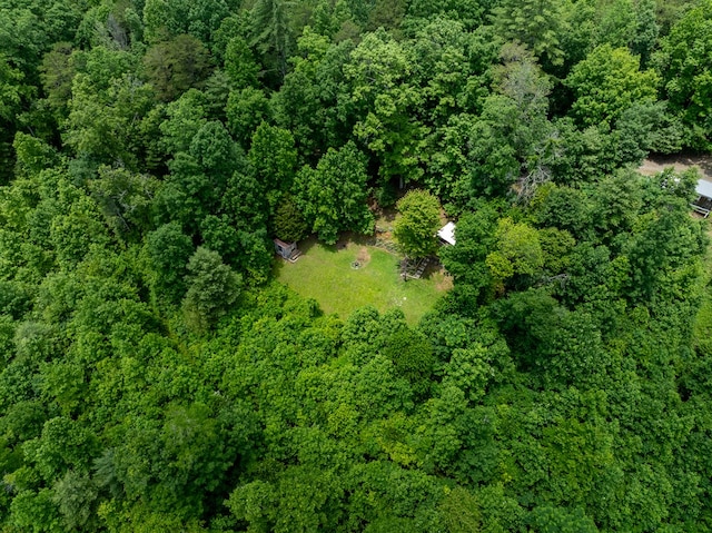 318 Page Ln, Murphy, NC 28906 - aerial overview of property's location with a forest