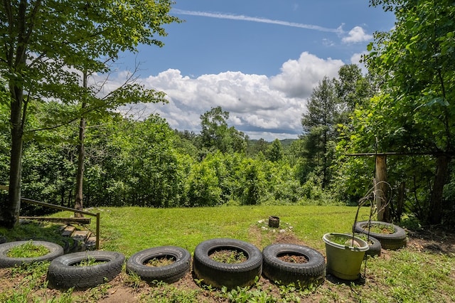 318 Page Ln, Murphy, NC 28906 - view of green lawn featuring a forest view
