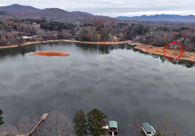 property view of water with a mountain view