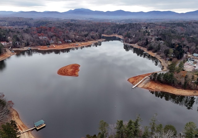 bird's eye view featuring a water and mountain view and a view of trees