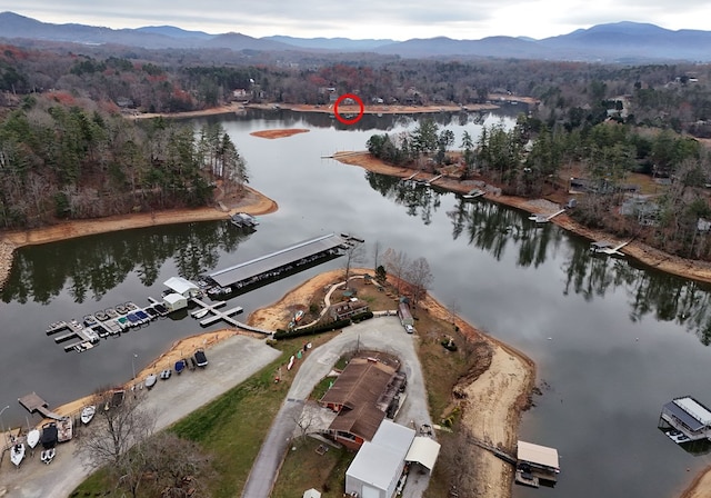 birds eye view of property with a water and mountain view