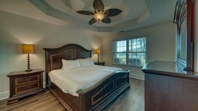 bedroom with a raised ceiling, ceiling fan, and wood-type flooring