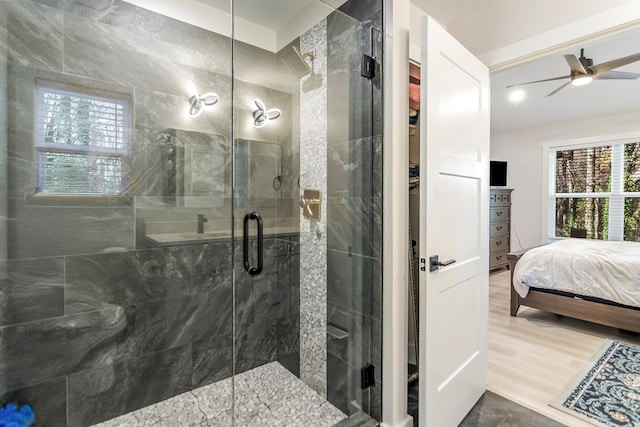 bathroom with ceiling fan, wood-type flooring, and a shower with door