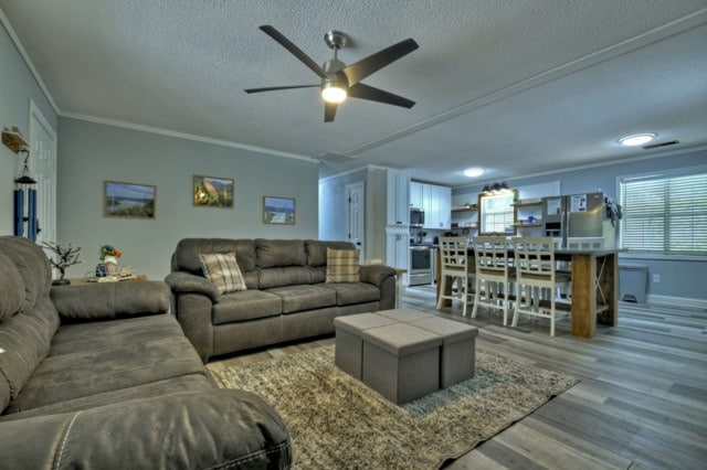 151 Padget Ln, Ellijay, GA 30540 - living room with ornamental molding, ceiling fan, wood finished floors, a textured ceiling, and baseboards