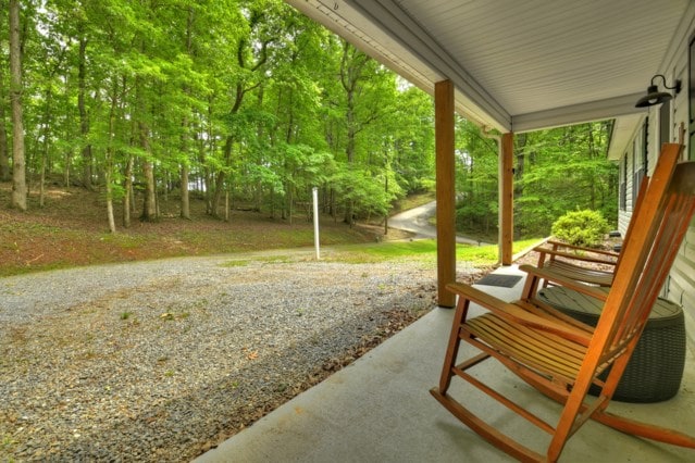 151 Padget Ln, Ellijay, GA 30540 - view of porch