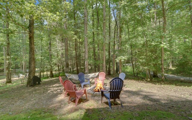 view of yard featuring a fire pit