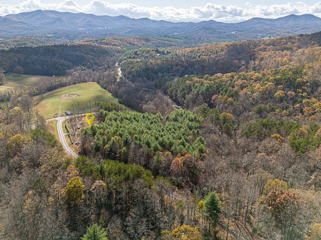 drone / aerial view featuring a mountain view