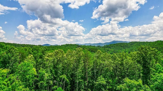 155AC Megan Trace Dr, Turtletown TN, 37391 land for sale