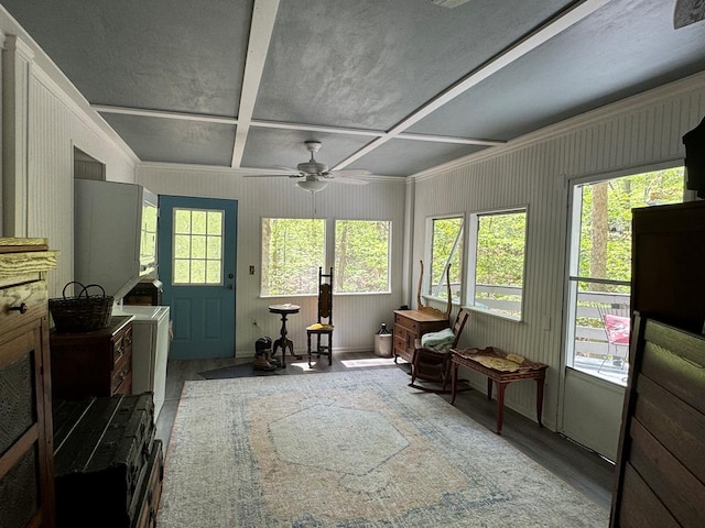 interior space with light hardwood / wood-style flooring and plenty of natural light