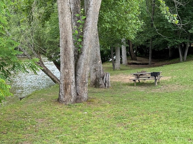 view of home's community with a lawn and a water view