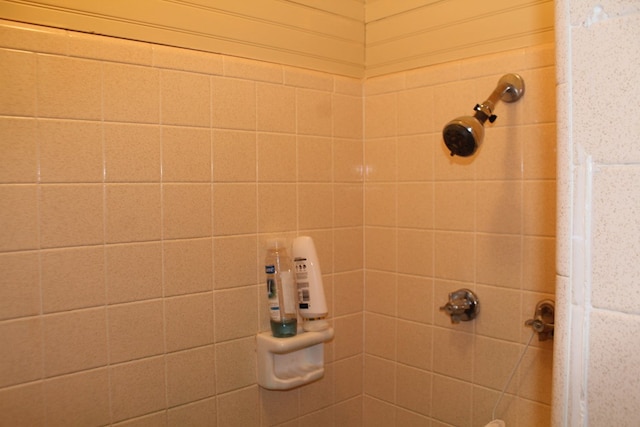 interior details with tiled shower