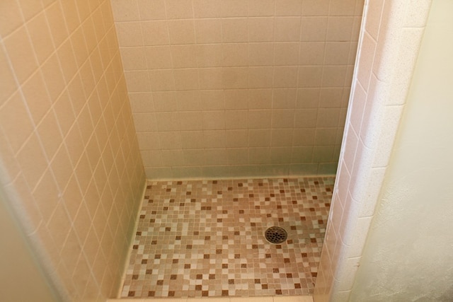 interior details with a shower with shower curtain