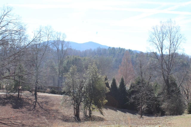 property view of mountains