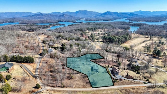 drone / aerial view featuring a water and mountain view