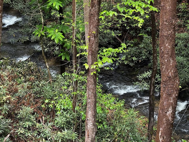 122 Laurel Creek Trl, Blue Ridge, GA 30513 - view of local wilderness