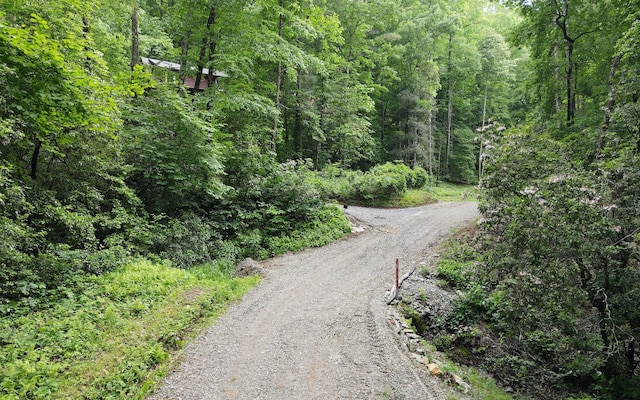 TR2 Cindy Cove Rd, Blairsville GA, 30512 land for sale