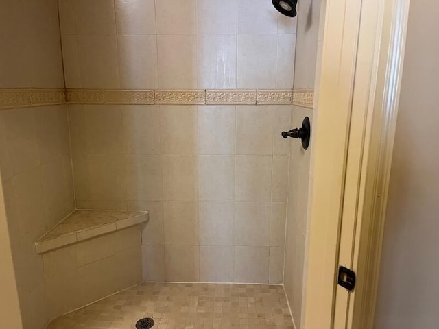 366 Licklog Rdg, Hayesville, NC 28904 - bathroom with tiled shower