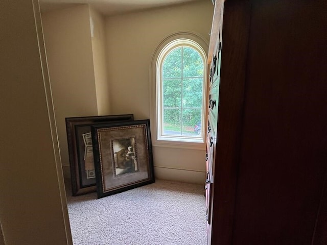 366 Licklog Rdg, Hayesville, NC 28904 - detailed view of carpet floors