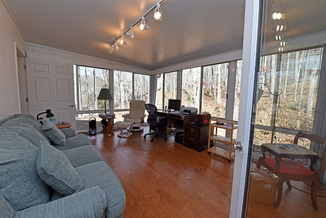 office space featuring wood-type flooring