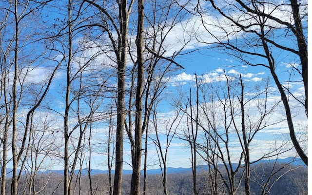 00 Wildwood Dr, Hayesville, NC 28904