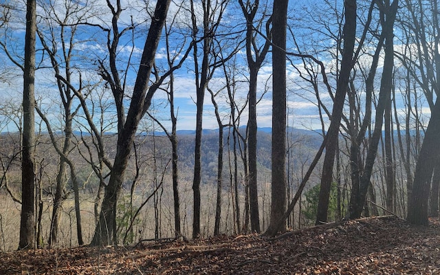 00 Wildwood Dr, Hayesville, NC 28904