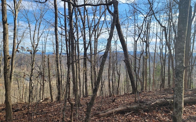 00 Wildwood Dr, Hayesville, NC 28904