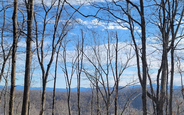 00 Wildwood Dr, Hayesville, NC 28904