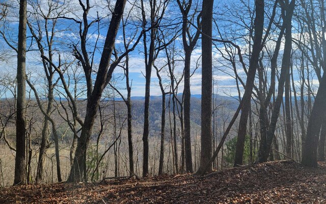 00 Wildwood Dr, Hayesville, NC 28904