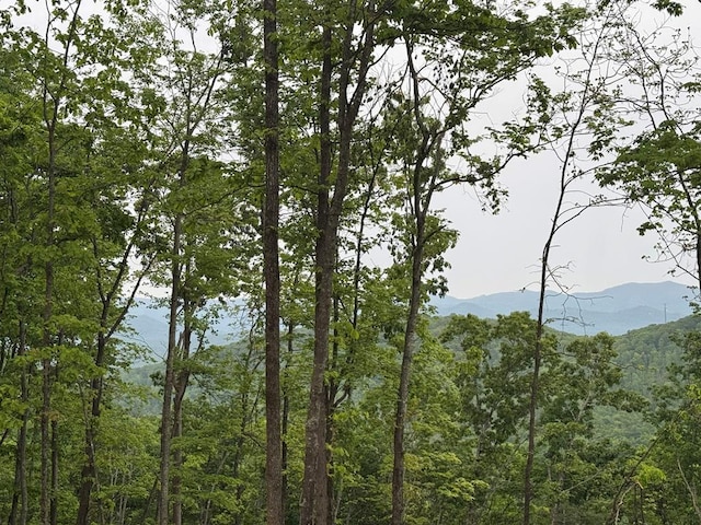 00 Wildwood Dr, Hayesville, NC 28904