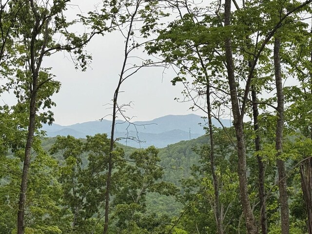 00 Wildwood Dr, Hayesville, NC 28904