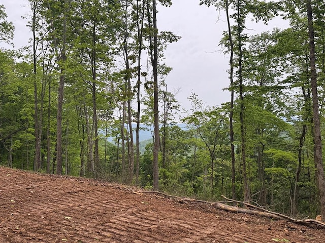 00 Wildwood Dr, Hayesville, NC 28904