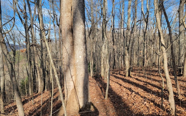 00 Wildwood Dr, Hayesville, NC 28904