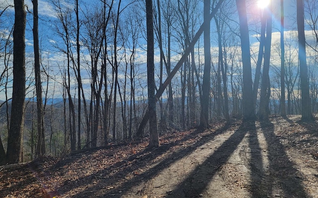 00 Wildwood Dr, Hayesville, NC 28904