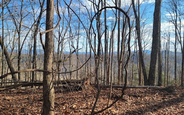 00 Wildwood Dr, Hayesville, NC 28904