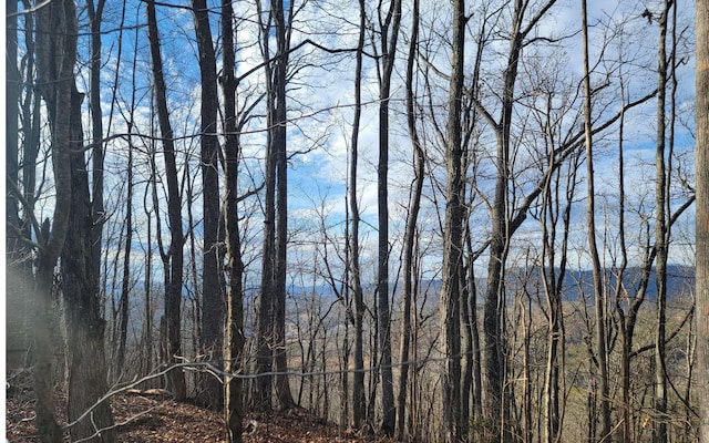 00 Wildwood Dr, Hayesville, NC 28904