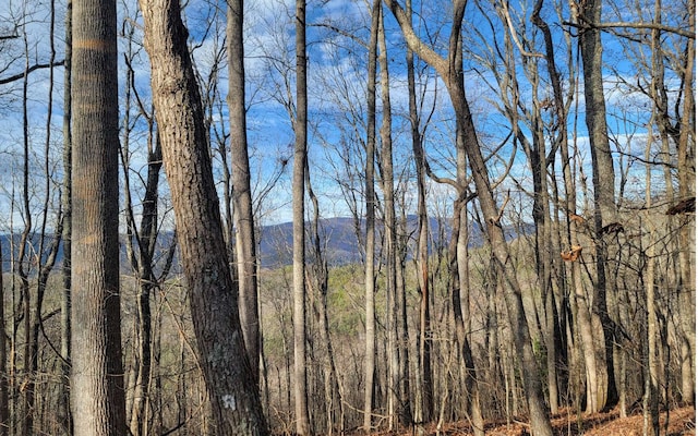 00 Wildwood Dr, Hayesville, NC 28904