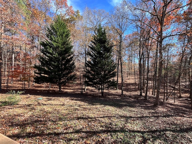 199 Orlon Dr, East Ellijay, GA 30540 - view of yard