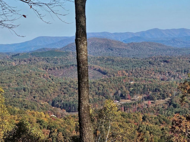 38 Trophy Buck Pt, Murphy NC, 28906 land for sale