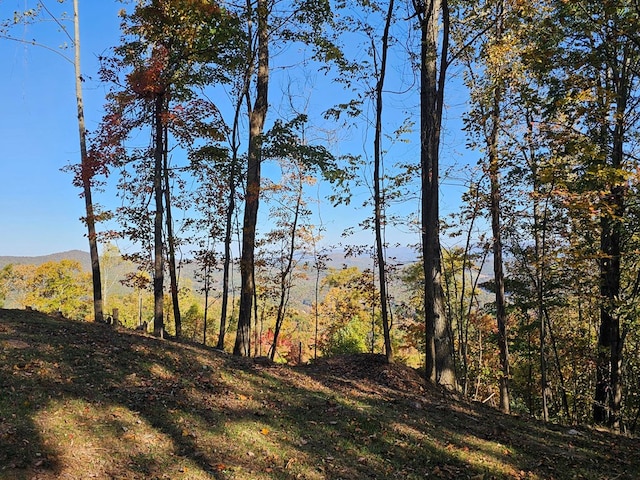 38 Trophy Buck Pt, Murphy, NC 28906